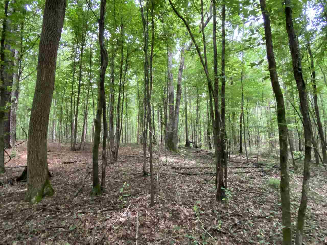 0 Bilbro Road Walnut Grove, MS 39189 - Photo 23 of 24 Photo 23
