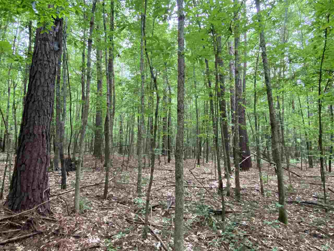 0 Bilbro Road Walnut Grove, MS 39189 - Photo 24 of 24 Photo 24