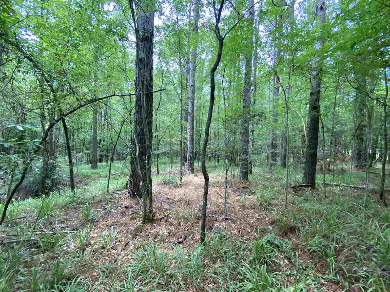 0 Bilbro Road Walnut Grove, MS 39189 - Photo 3 of 24 Photo 3
