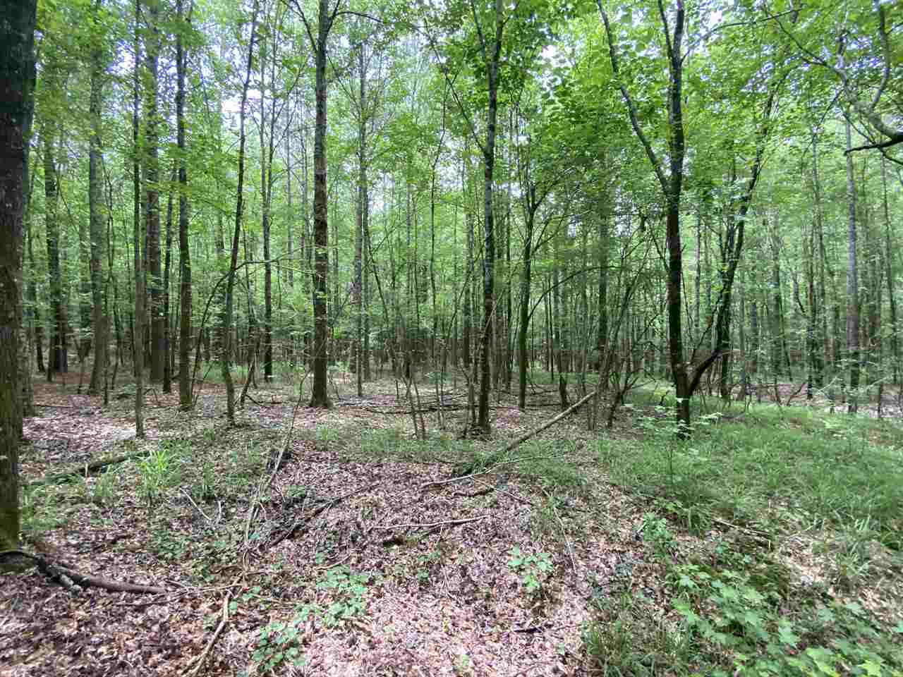 0 Bilbro Road Walnut Grove, MS 39189 - Photo 4 of 24 Photo 4