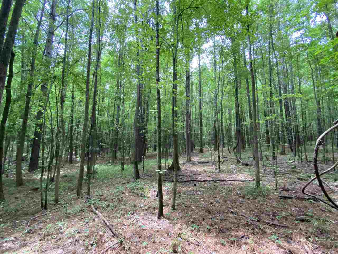 0 Bilbro Road Walnut Grove, MS 39189 - Photo 6 of 24 Photo 6