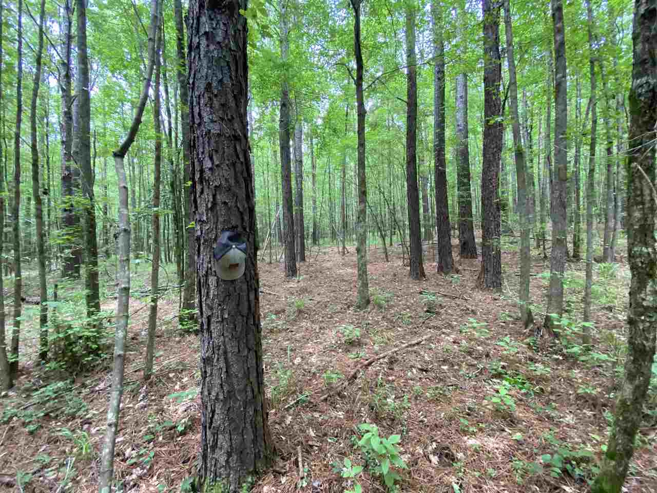 0 Bilbro Road Walnut Grove, MS 39189 - Photo 7 of 24 Photo 7