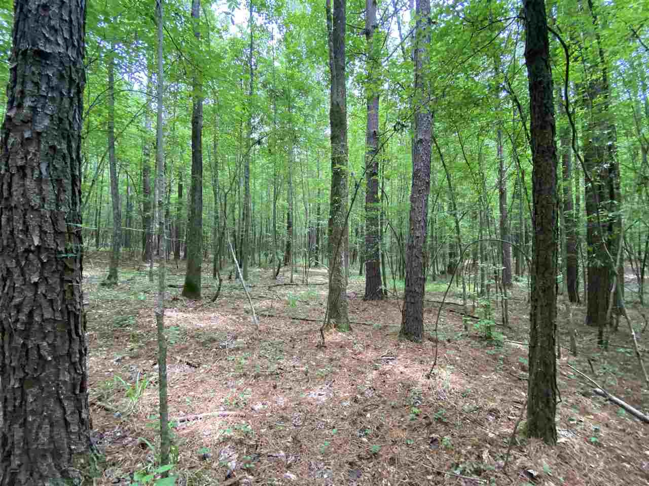 0 Bilbro Road Walnut Grove, MS 39189 - Photo 8 of 24 Photo 8