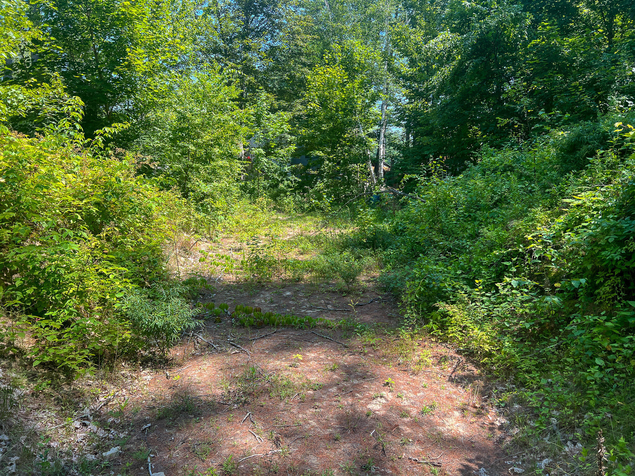 105 Meadow Road Raymond, ME 04071 - Photo 2 of 19 2