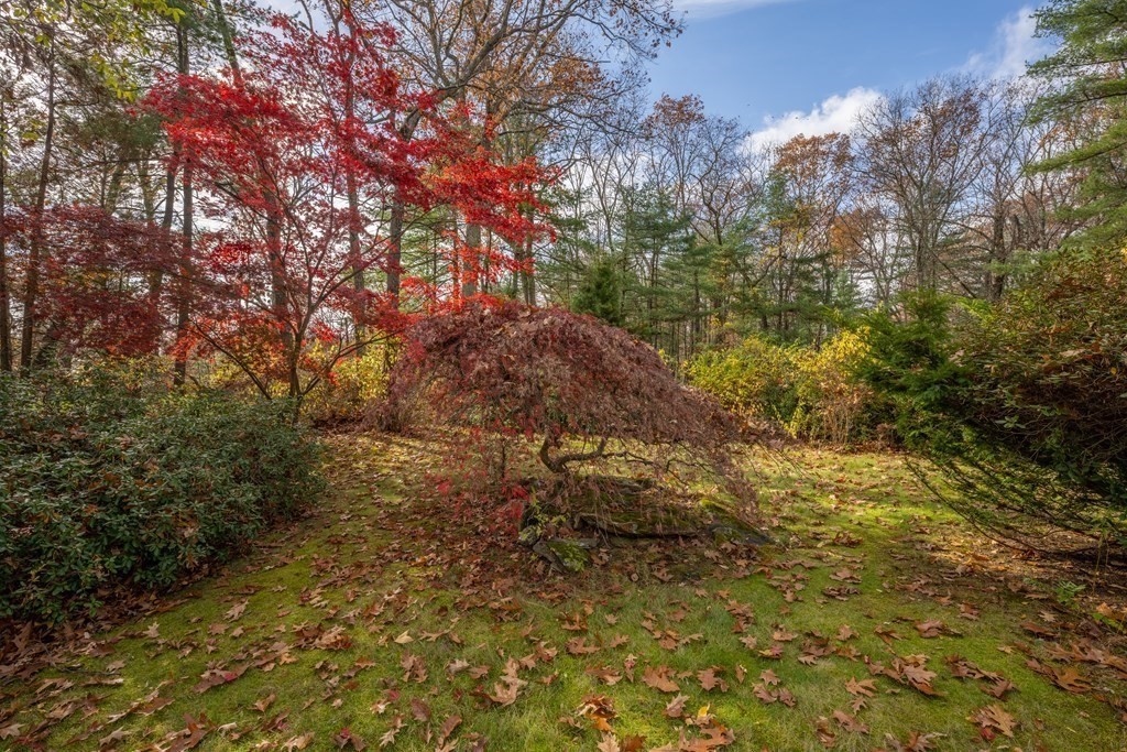 1 Maynard Street Northborough, MA 01532 - Photo 35 of 41 a view of a yard with plants and trees