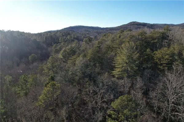a view of a mountain range with trees in the background