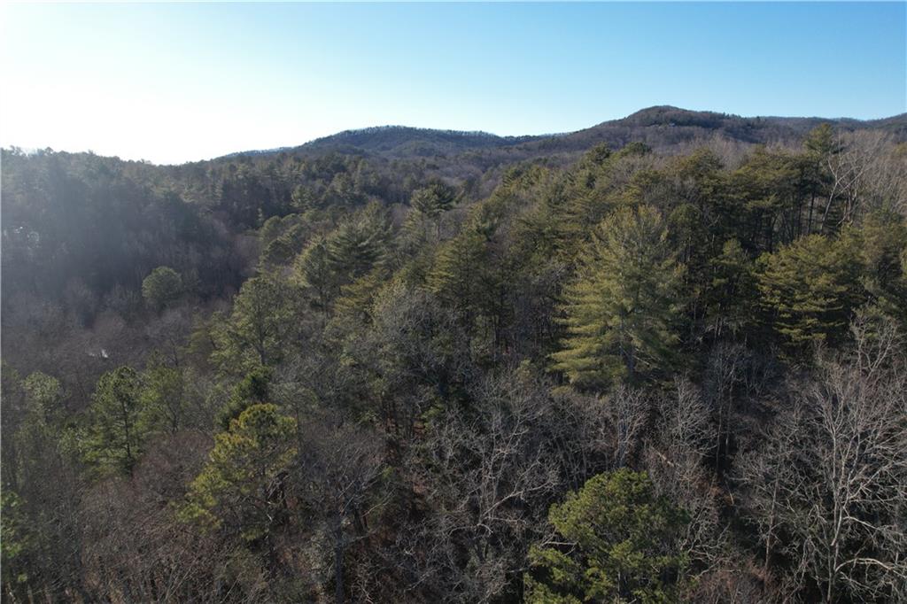 0 Old Miller Rock Road Ellijay, GA 30540 - Photo 1 of 15 a view of a mountain range with trees in the background
