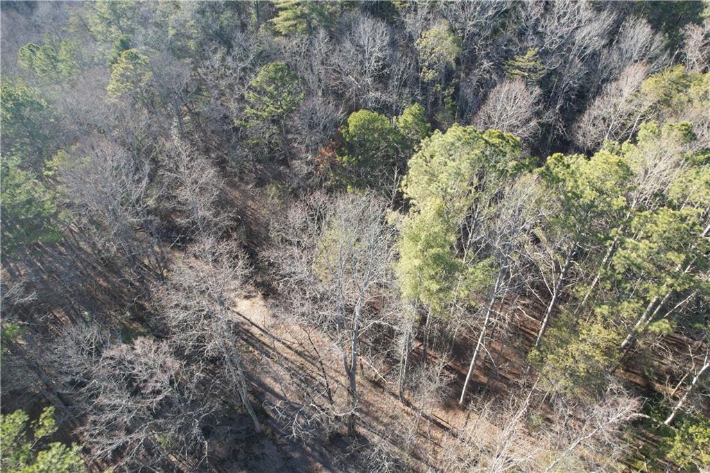 0 Old Miller Rock Road Ellijay, GA 30540 - Photo 11 of 15 a view of a garden with plants