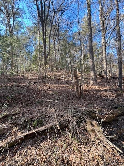 0 Old Miller Rock Road Ellijay, GA 30540 - Photo 3 of 15 a backyard of a house with lots of green space