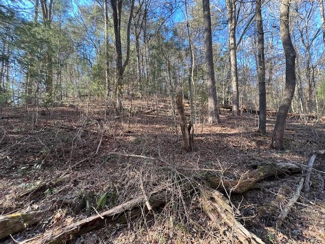 0 Old Miller Rock Road Ellijay, GA 30540 - Photo 4 of 15 a view of a yard with trees