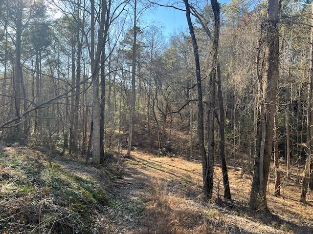 0 Old Miller Rock Road Ellijay, GA 30540 - Photo 6 of 15 a view of outdoor space and yard