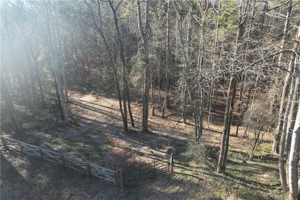 0 Old Miller Rock Road Ellijay, GA 30540 - Photo 10 of 15 a view of a forest with trees
