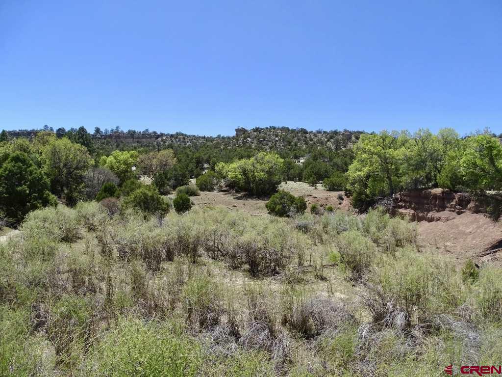 44 Frontage Continental Divide, NM 87347 - Photo 2 of 15