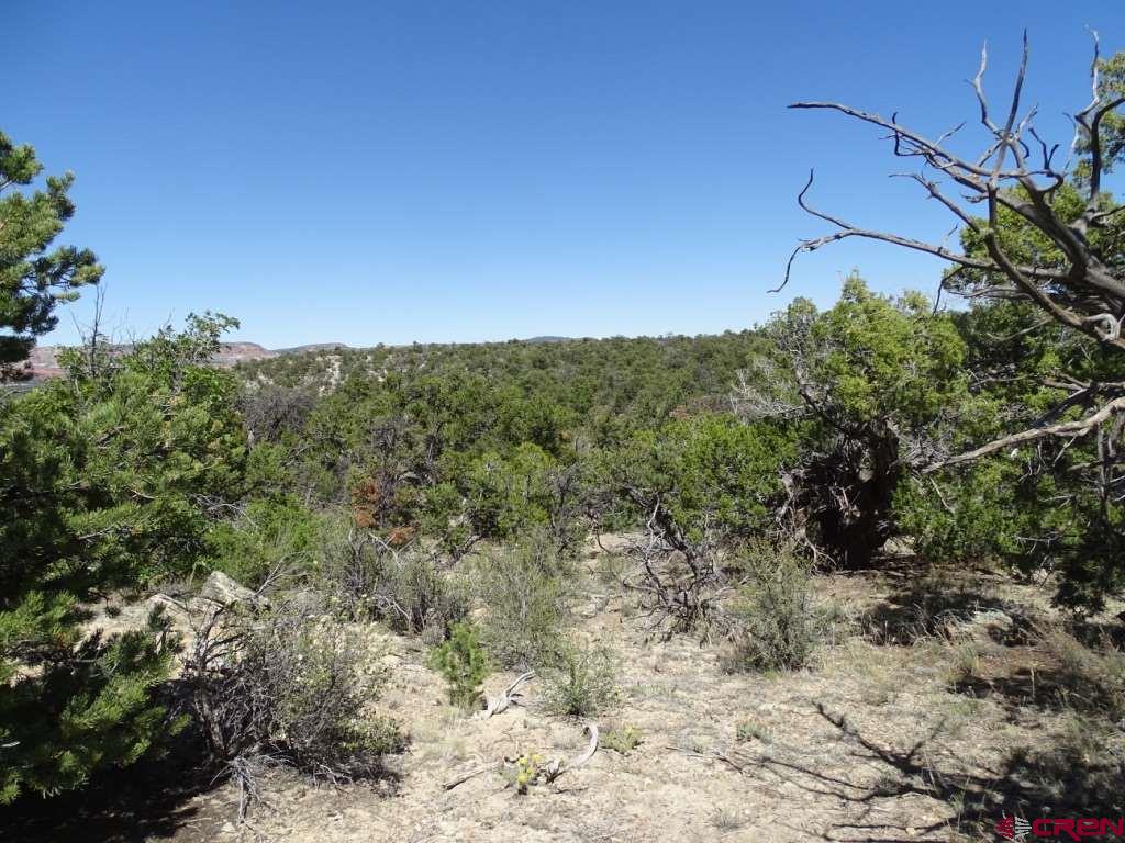 44 Frontage Continental Divide, NM 87347 - Photo 11 of 15