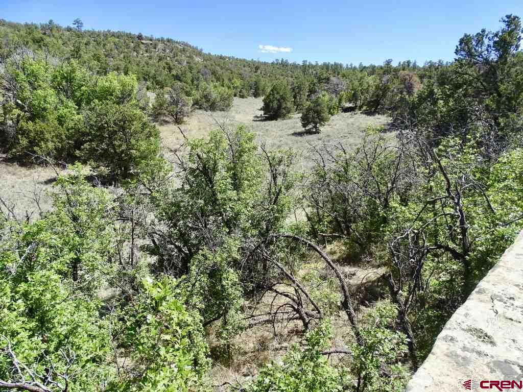 44 Frontage Continental Divide, NM 87347 - Photo 13 of 15