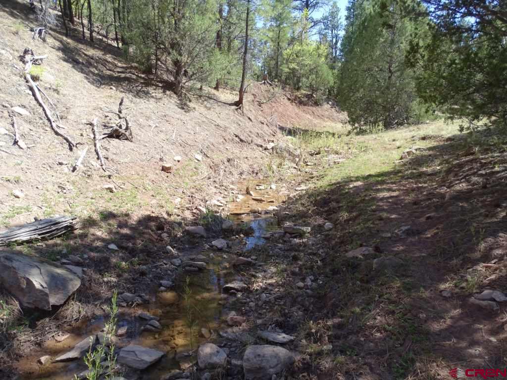 44 Frontage Continental Divide, NM 87347 - Photo 14 of 15