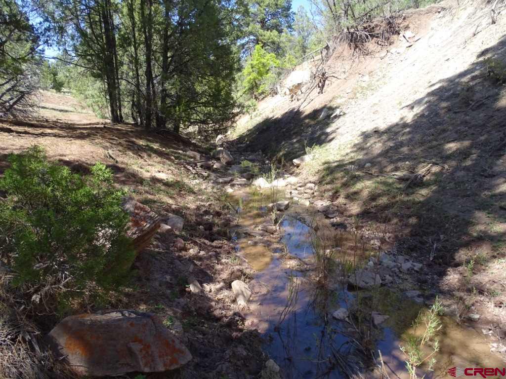 44 Frontage Continental Divide, NM 87347 - Photo 15 of 15