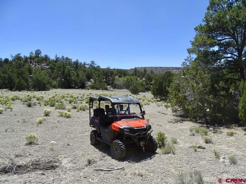 44 Frontage Continental Divide, NM 87347 - Photo 3 of 15