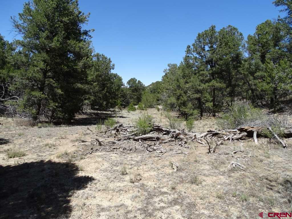 44 Frontage Continental Divide, NM 87347 - Photo 5 of 15
