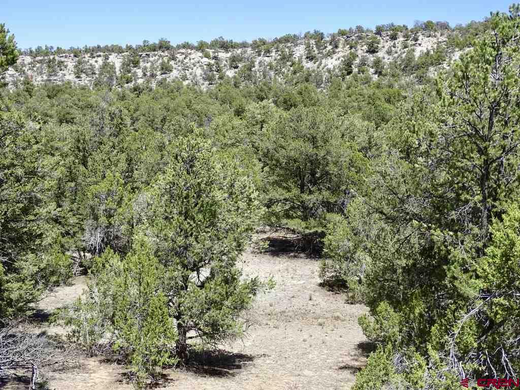 44 Frontage Continental Divide, NM 87347 - Photo 8 of 15