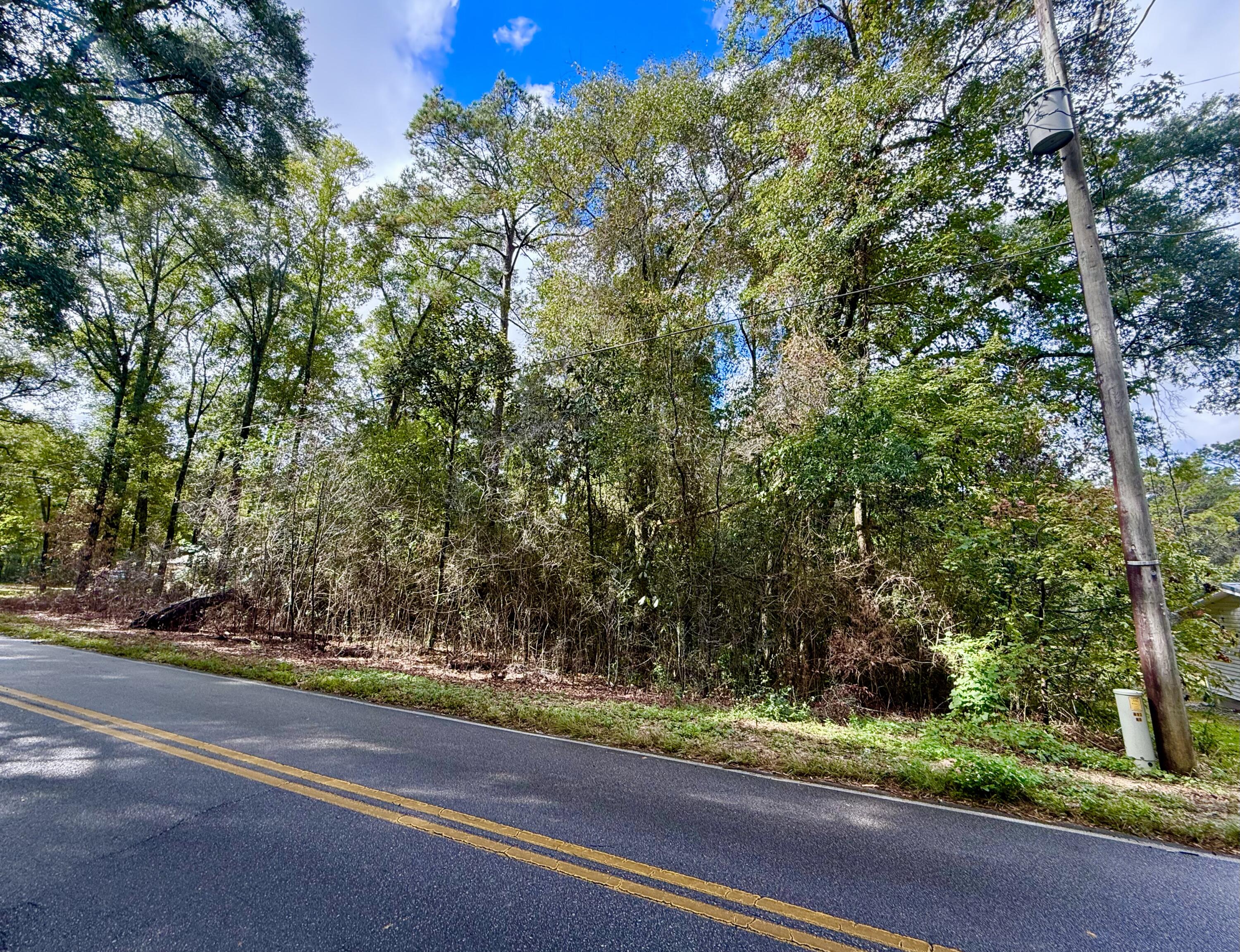 Lot 3 North Norwood Road DeFuniak Springs, FL 32433 - Photo 2 of 12 IMG_1076b2