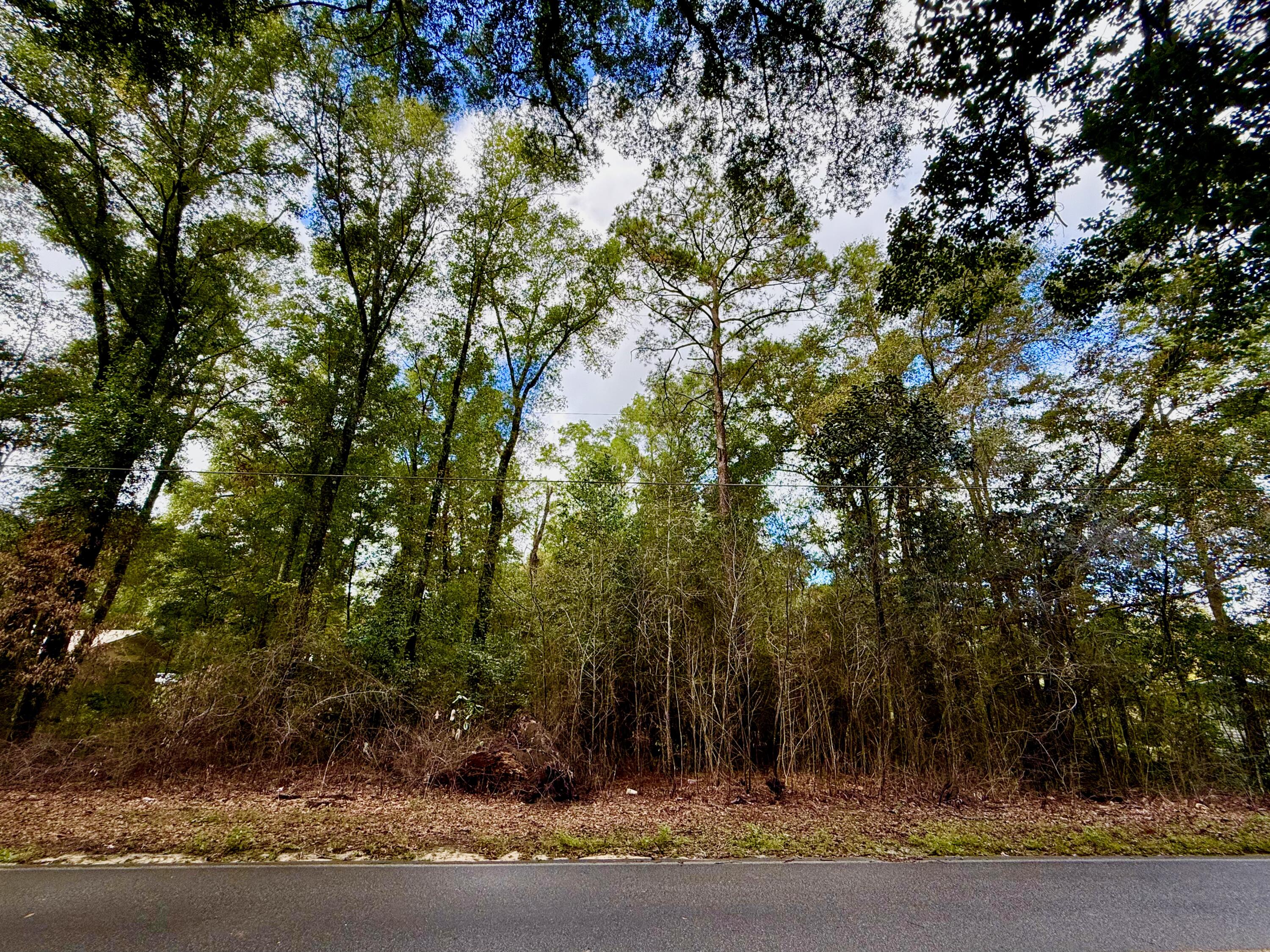 Lot 3 North Norwood Road DeFuniak Springs, FL 32433 - Photo 3 of 12 IMG_1077 2