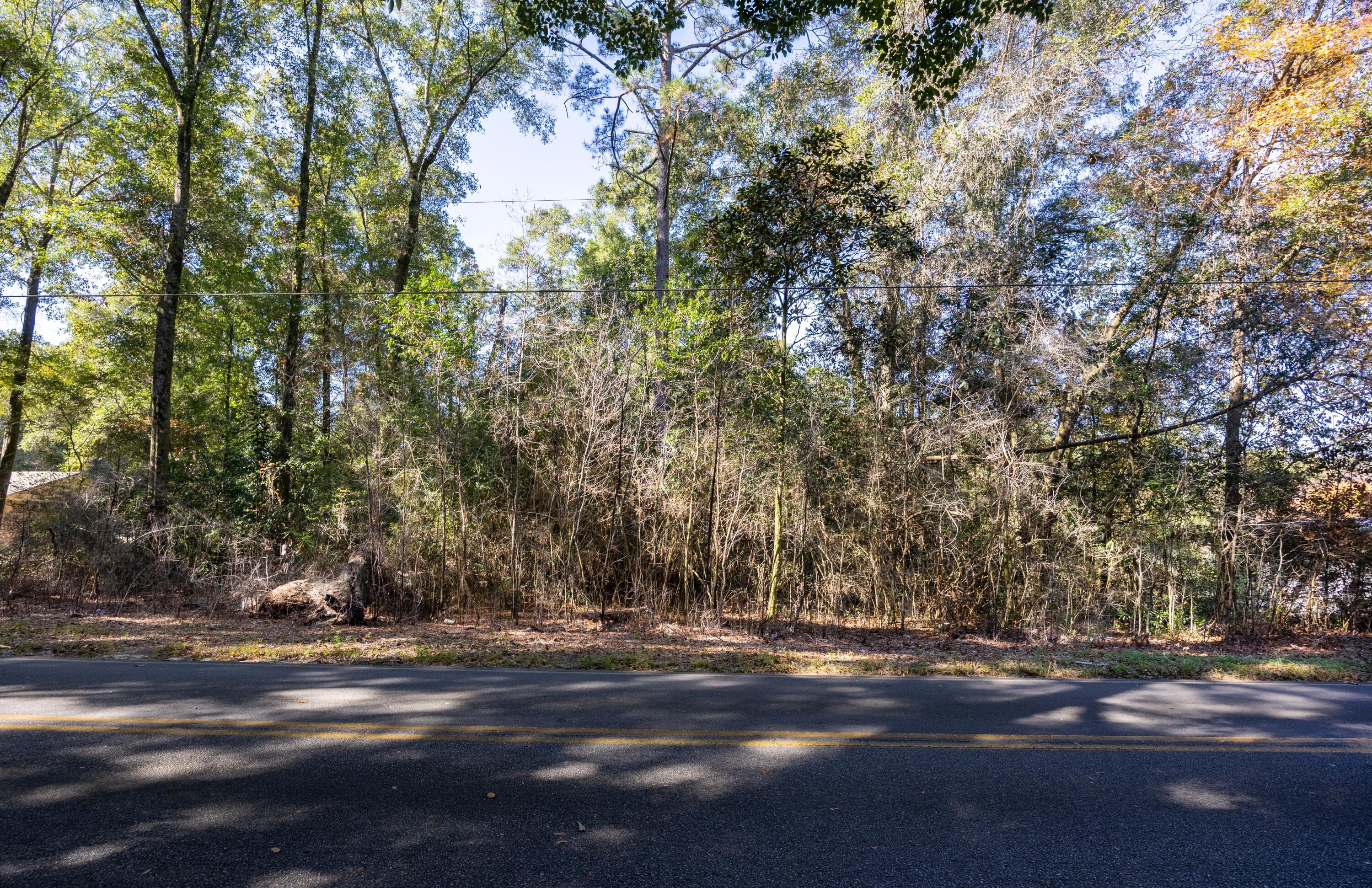 Lot 3 North Norwood Road DeFuniak Springs, FL 32433 - Photo 4 of 12 Lot 3 N Norwood (6)