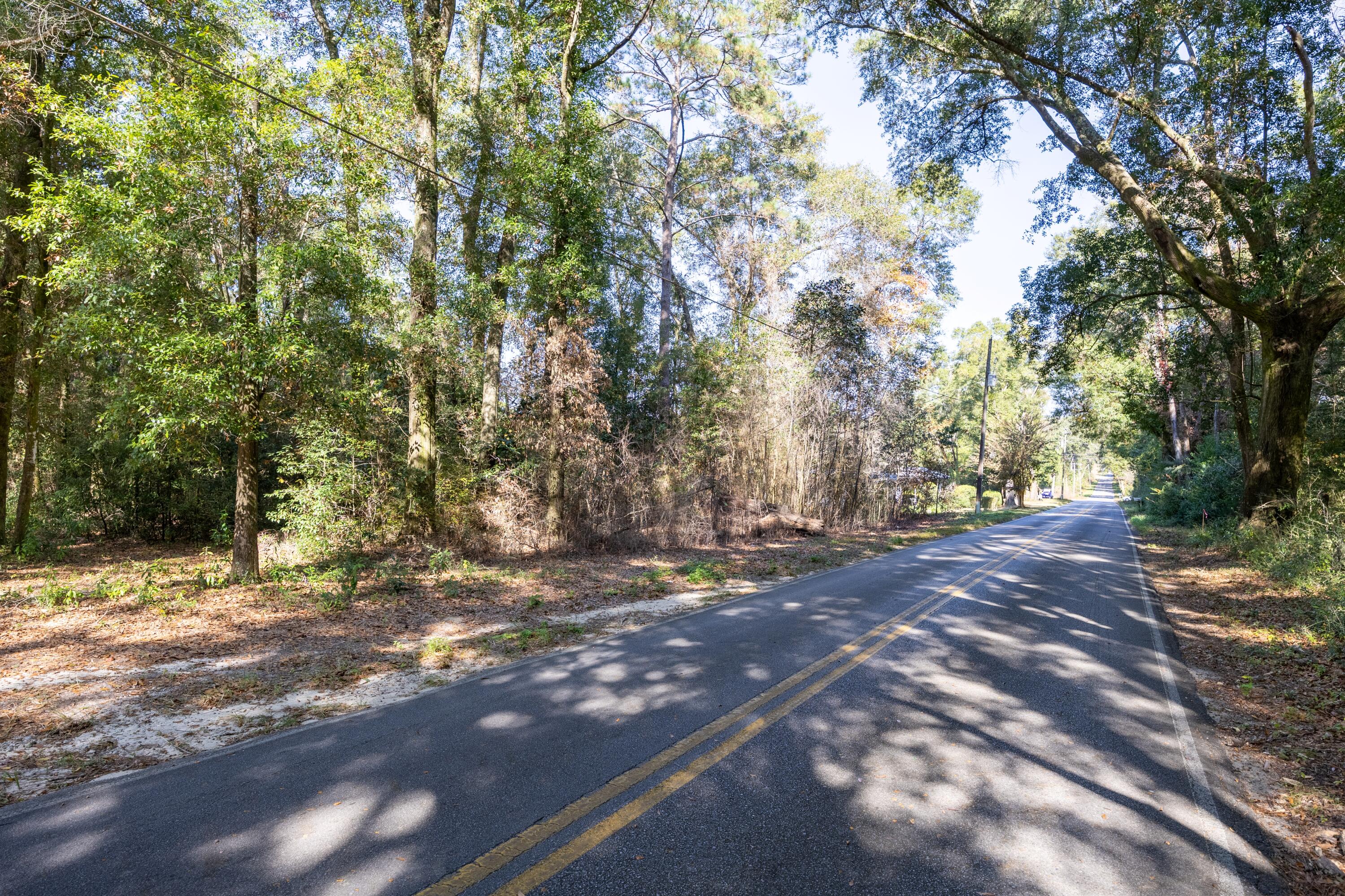 Lot 3 North Norwood Road DeFuniak Springs, FL 32433 - Photo 5 of 12 Lot 3 N Norwood (5)