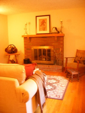 3051 East Old State Road Guilderland, NY 12303 - Photo 3 of 12 Photo 3