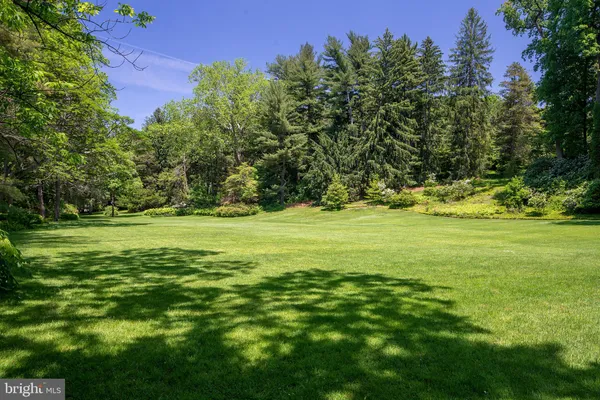 a view of a field with an trees