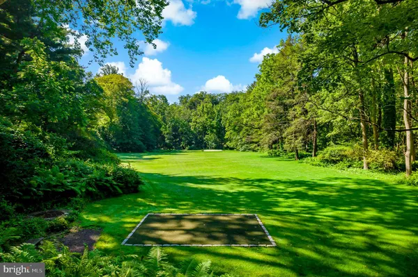 a view of a garden with large trees