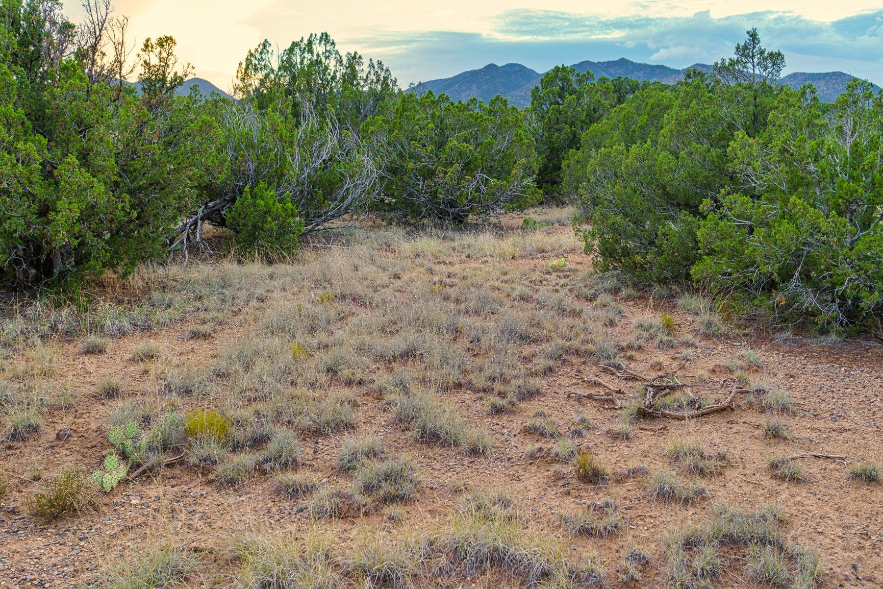 176 Wagon Trail Road Cerrillos, NM 87010 - Photo 8 of 35