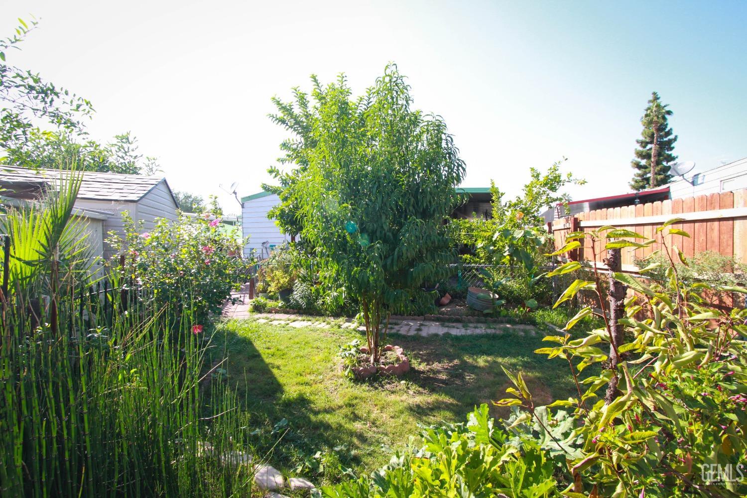 Undisclosed Address Bakersfield, CA 93304 - Photo 25 of 27 a view of a yard with plants