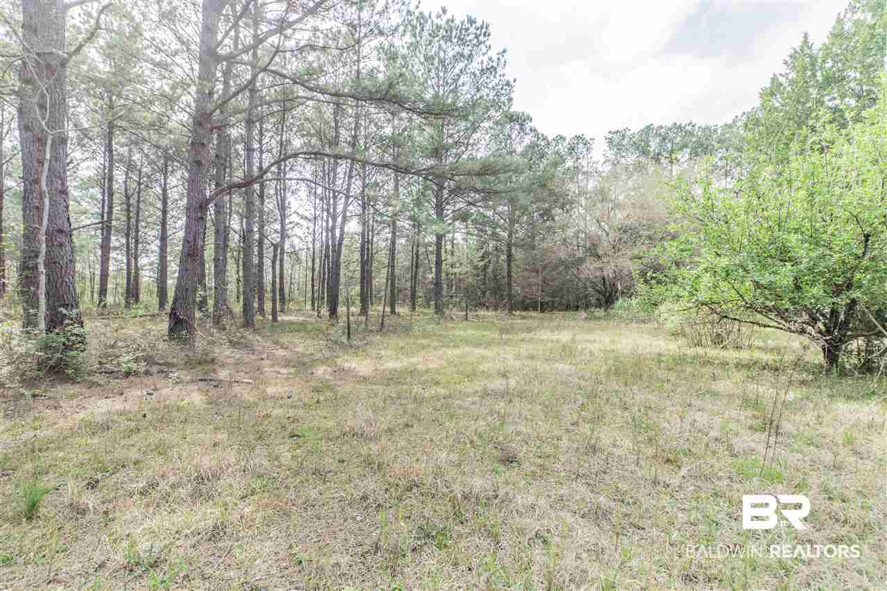 1000 Grimsley Road Creola, AL 36525 - Photo 15 of 15