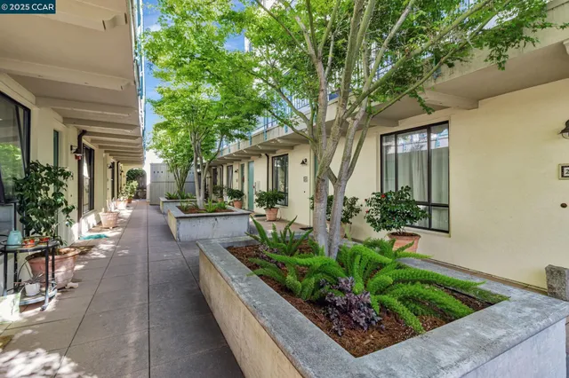 a view of a house with potted plants and a large tree