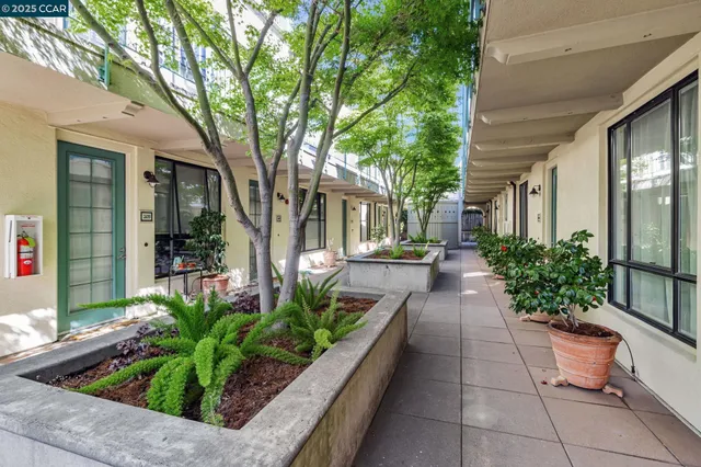 a lobby with furniture and potted plants