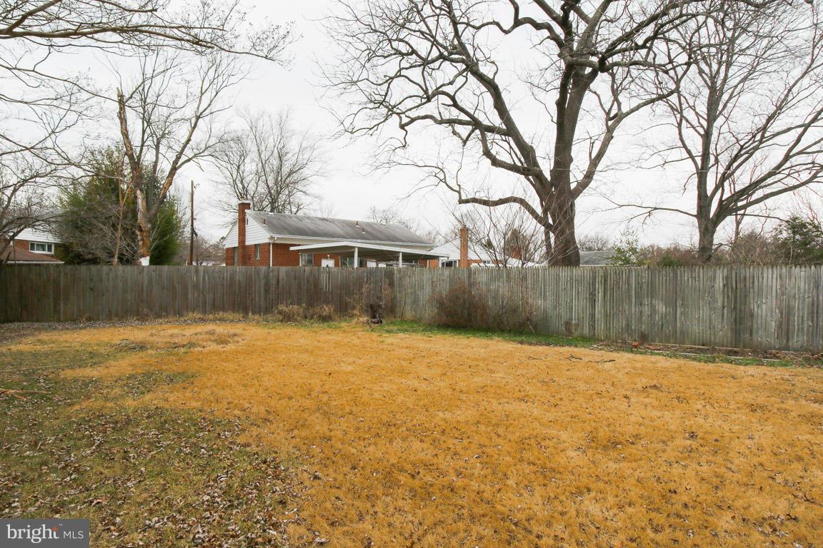 417 Kerwin Road Silver Spring, MD 20901 - Photo 28 of 30 a backyard of a house with trees