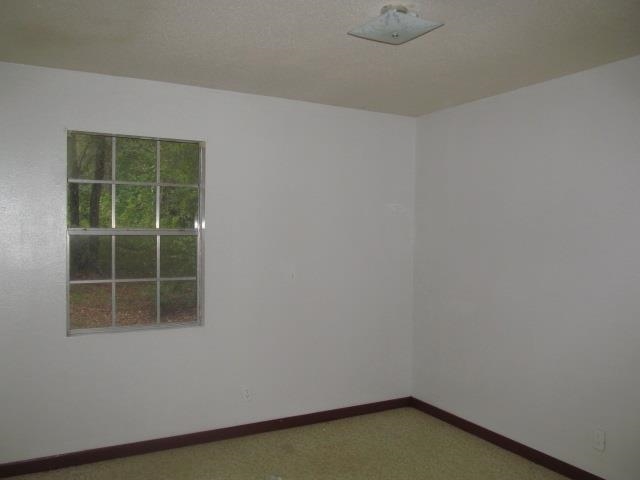 205 Lloyd Subdivision Road Monticello, FL 32344 - Photo 5 of 11