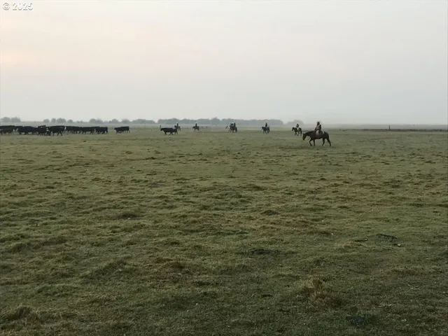 $7,950,000 | 9800 Sevenmile Road, Fort Klamath, OR 97626