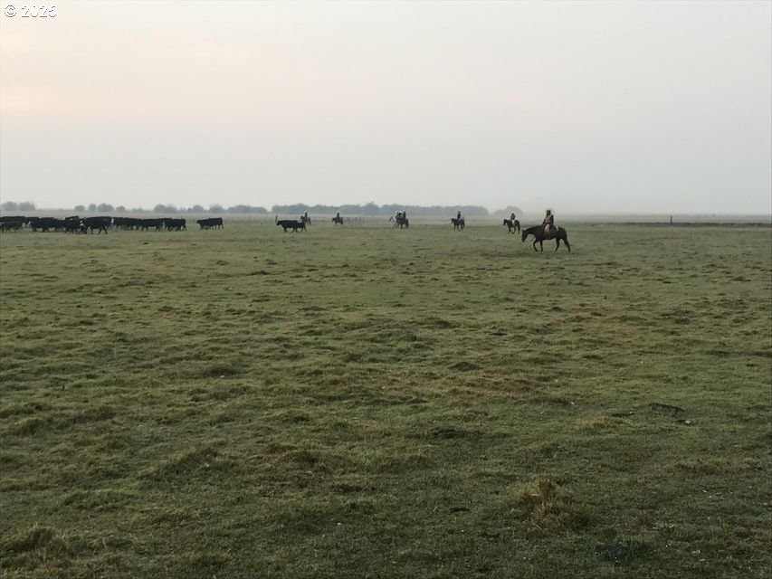 9800 Sevenmile Road Fort Klamath, OR 97626 - Photo 2 of 40