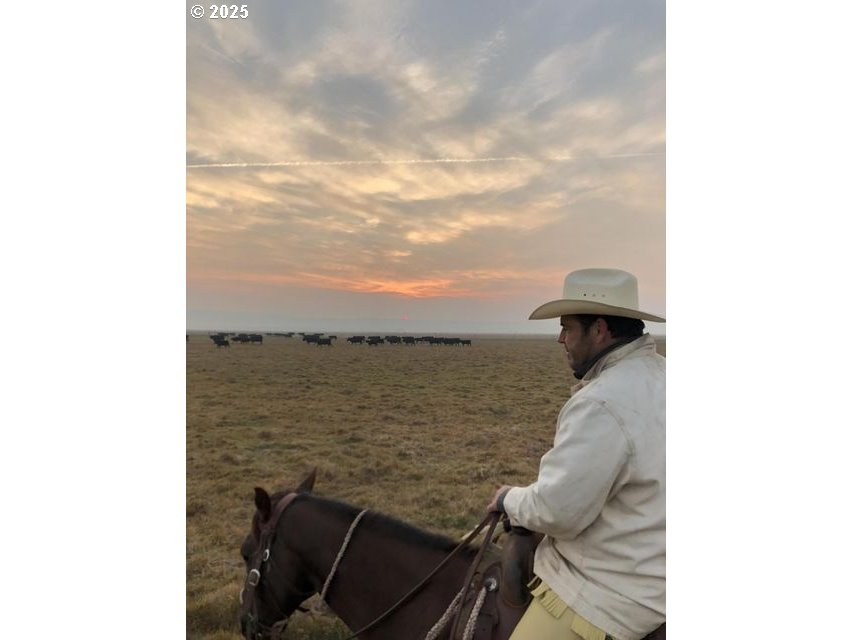 9800 Sevenmile Road Fort Klamath, OR 97626 - Photo 33 of 40