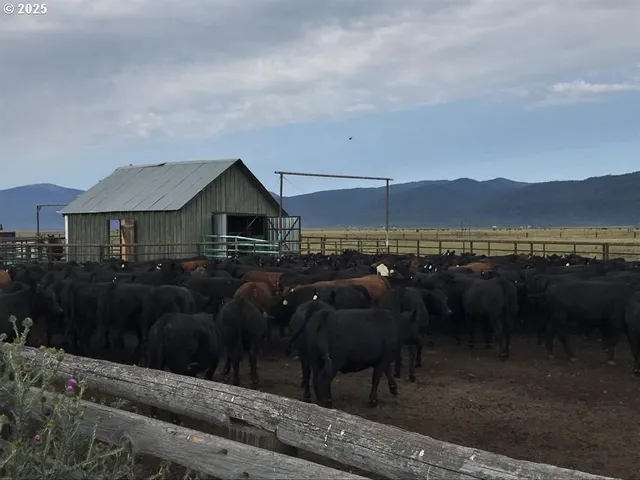 $7,950,000 | 9800 Sevenmile Road, Fort Klamath, OR 97626