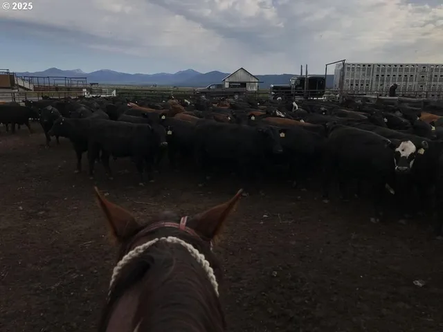 $7,950,000 | 9800 Sevenmile Road, Fort Klamath, OR 97626