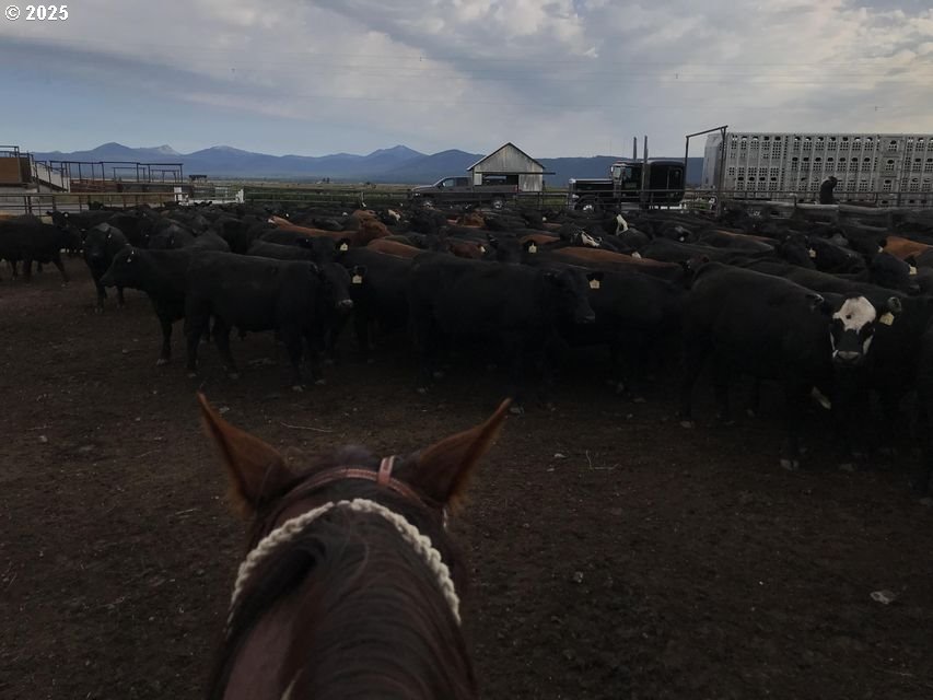 9800 Sevenmile Road Fort Klamath, OR 97626 - Photo 37 of 40