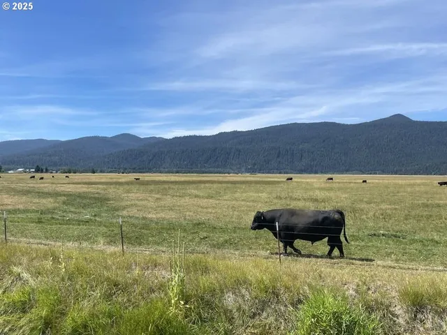 $7,950,000 | 9800 Sevenmile Road, Fort Klamath, OR 97626
