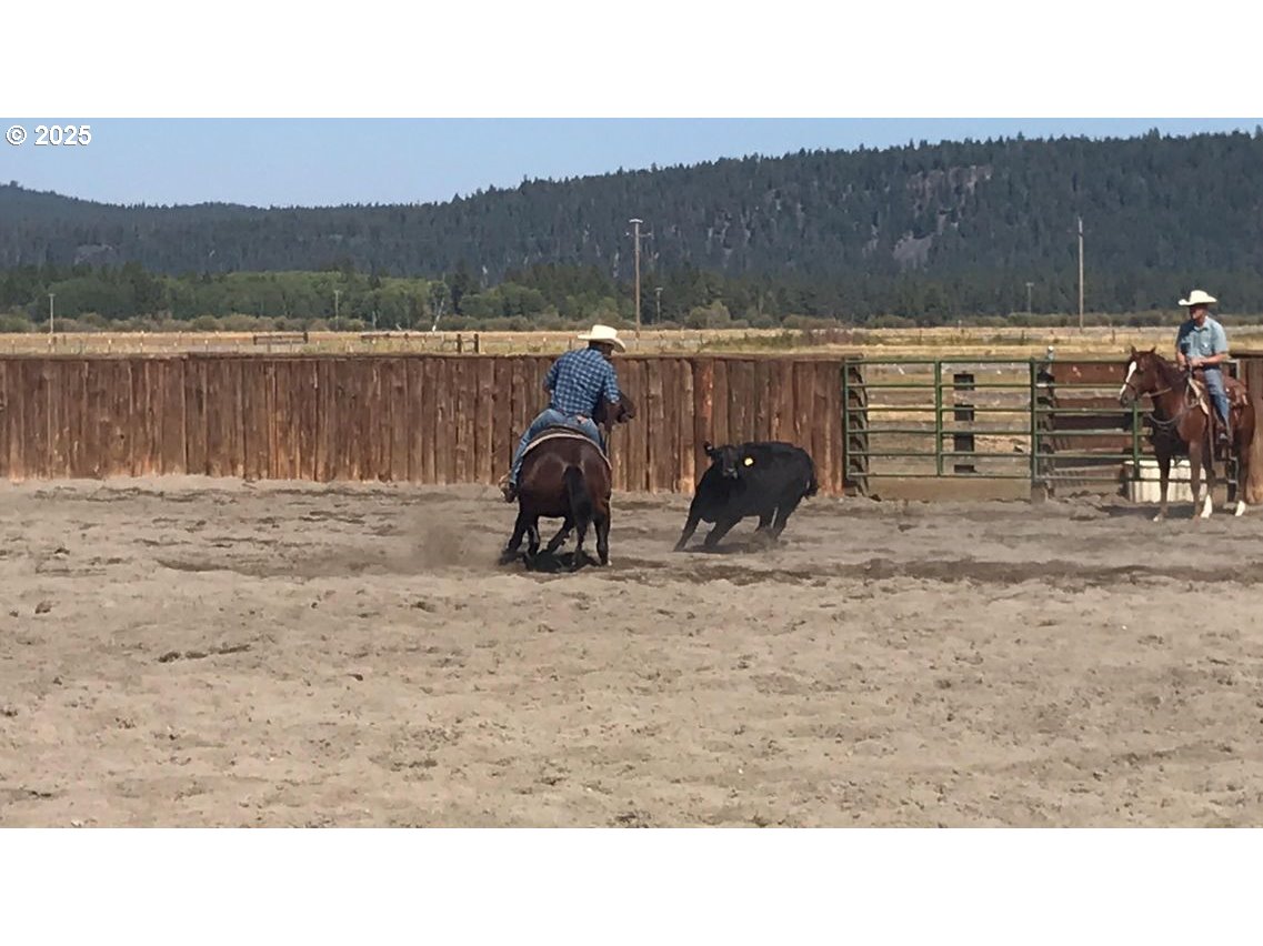 9800 Sevenmile Road Fort Klamath, OR 97626 - Photo 4 of 40