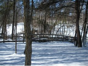 Lot 2 Rock House Road, Unit 2 Jonesborough, TN 37659 - Photo 9 of 14 View lot within fenced area
