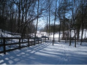 Lot 2 Rock House Road, Unit 2 Jonesborough, TN 37659 - Photo 10 of 14 Land in fence and trees