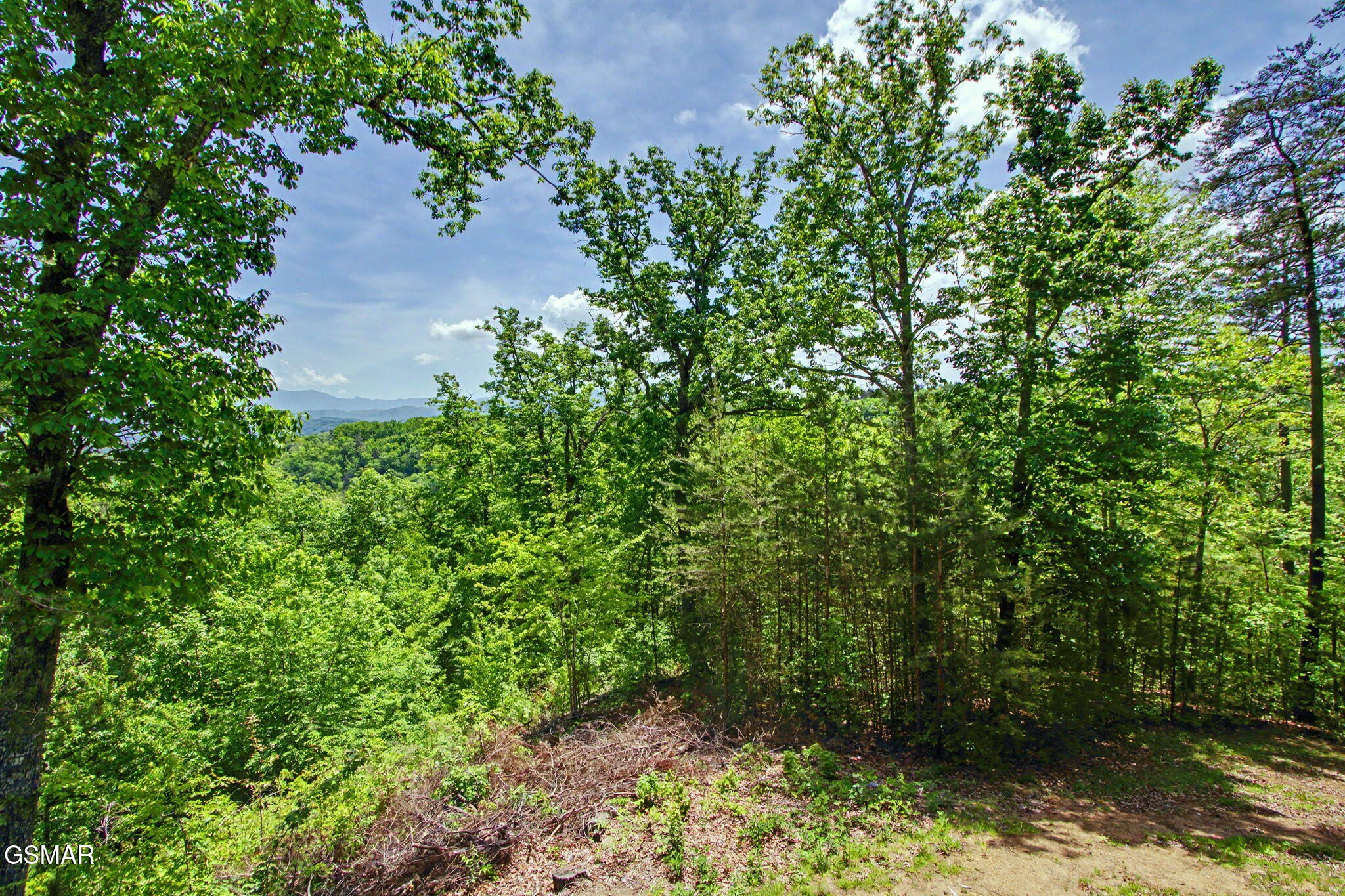 1723 Bluff Ridge Road Sevierville, TN 37876 - Photo 29 of 31 Gallery Image 29