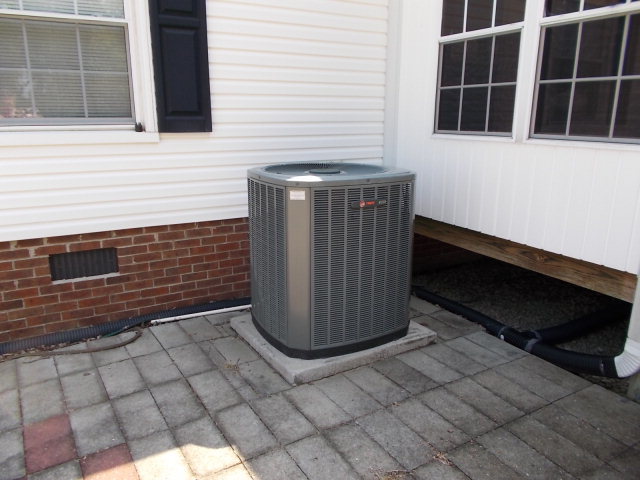 5147 Carter Road Elm City, NC 27822 - Photo 5 of 15 Additional Photo